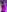 strawberry_muffinBad Bunny照片 3