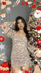 🎄 Navidad 2025 ⛄ de Diane_Ritz  2 Imagens