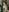 Your_Corvus Transparent fantasies Pic 4