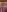 Goldensexetary69 Fan club Pic 2