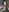 Monika_youthful Tease photos Pic 3