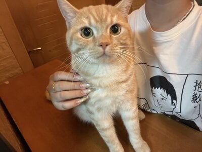 -sanhuamao- 家庭成员 사진 6