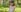 IconaDidiFit Tease in Nature照片 6