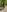 Fortune_888 MY SEXY FRIEND 🥰 Pic 9