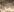 DesereaRose 27 Pic 3