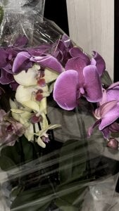 softyunobetween home & me Bild 3