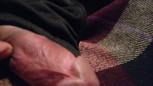 dierbergudo Public Foto 2