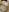867_haruna ラーメンログ🍜 Pic 3