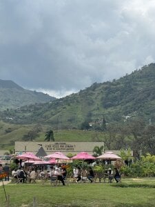 Zdjęcia Shirleytaylor- 🌄:  5