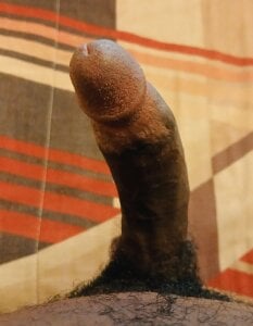 DurbanVerseX Public Pic