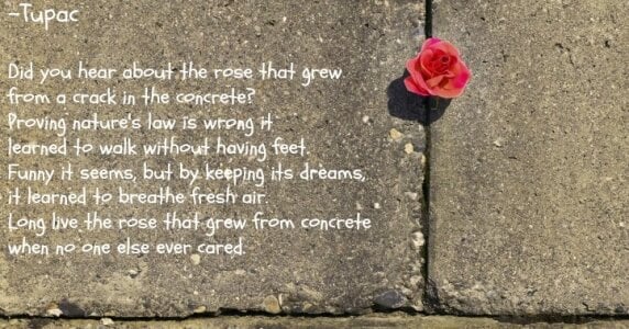 victorialotus Favorite Quotes Pic 2