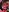 delicioussdixie titty reveal🍒🍒 Foto 7