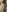 TSLucypearl NUDES Foto 