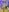 Juliana_Saenzz The mirror hides big secrets ✨ 사진 2