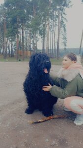 KamilaSwitti Public Poză