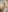 Coconut_Mia Gently Naked Body Pic 3