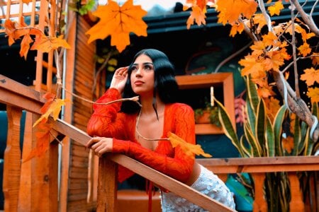 Mia-Monroe Public รูป  4