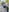 SunriseGuys Miniskirt and Heels in Park Summer 2023 Photo 6
