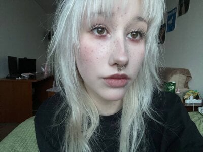 evlica Public Fotka 5