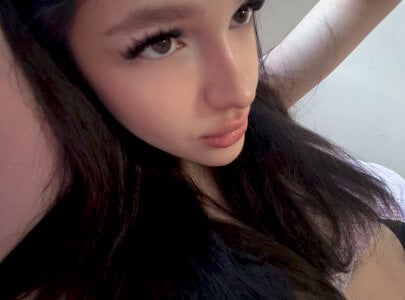 Holly__Bush Public Foto 5