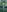 IconaDidiFit Tease in Nature照片 4