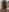 Ms_Lunar-Lust Dom Lingerie/ Strapon Photo 5