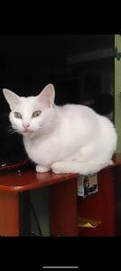 marilyn_love6969Un poco de mi图片 3