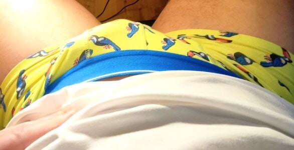 Komm ins live, wenn du mehr willst! de Spritzfreund Foto