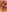 Saravy_Blandon IM SO SEXY😏🥵 Poză