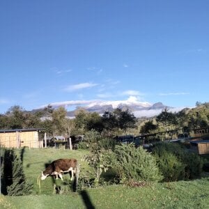 AshleyandCleo Nature Pic