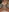 sexxypattylovebed sexy photos照片