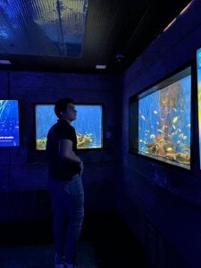 MrAdonis_ Public Kuva