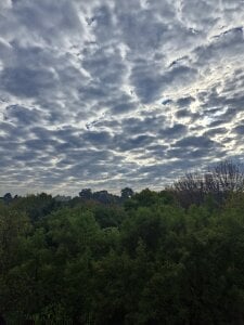 indianhunk2000 Public Pic