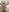 alex_wolf_ Hairs, hairs and more hairs 사진 8