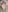 Addelin_Moon Hot photos in bed, look at me from above🔥 Photo 5