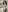 Bustykeyla gratis Pic 5