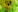 EllaViceX Your naked Eva Photo 8