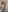 Maya_Bay in transparent underwear Pic 2