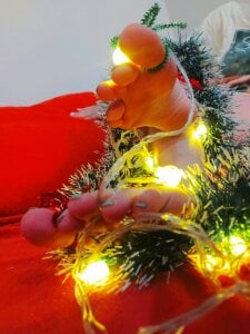 DeviJonson New Year's feet Pic