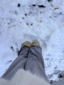 BeatriceBinoche🤍🤍🤍图片