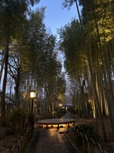 ERI_0000 kullanıcısının 💛 albümü -  5 fotoğraf