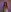 could you be my friend🤭 de ArwenMuse Fotos 2