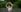 ModelBaby solitude with nature Fotografie 9