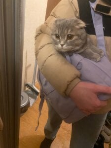 inga_gree A little bit about my life Billede 2