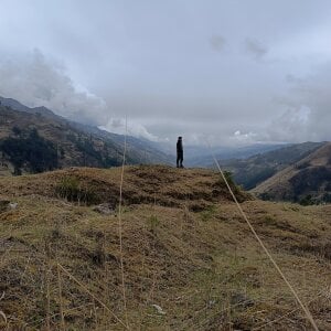 Loytder Nature slika