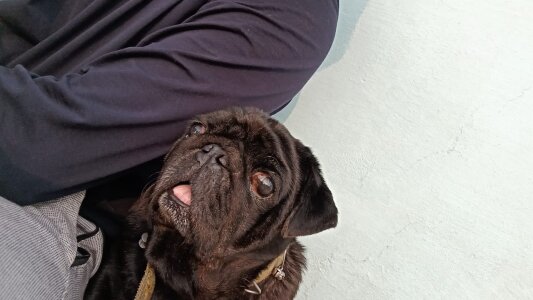 Ryder6985 Public Fotka 5