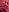 raingurlFeet照片 3