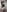 EllaAndernew photo照片 2