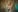 Alissa_S Topless in green light Photo 8