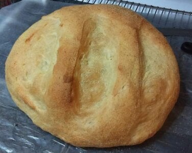 _Alsander_ Did I mention that I am a chef? Win the heart of a chef, and eat like this every day! Pic 4